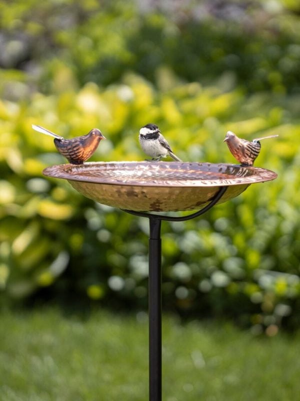 Pure Copper Bird Bath with Two Copper Birds and Multipronged Garden Pole